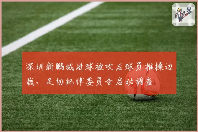 深圳新鹏城进球被吹后球员推搡边裁，足协纪律委员会启动调查