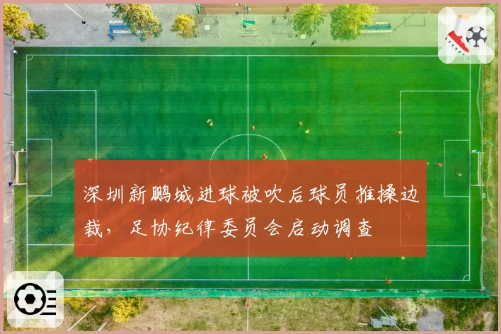 深圳新鹏城进球被吹后球员推搡边裁，足协纪律委员会启动调查