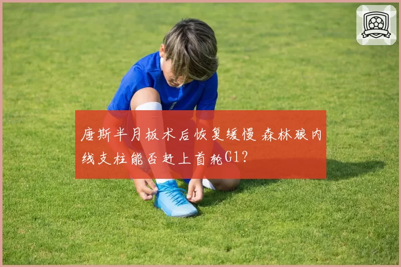 唐斯半月板术后恢复缓慢 森林狼内线支柱能否赶上首轮G1?