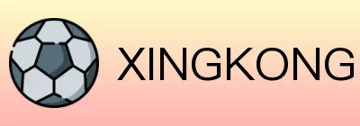 XINGKONG Logo